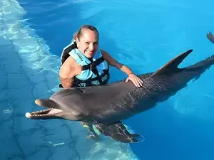 Swim with a dolphin
