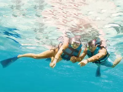 Swim