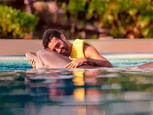 DOLPHIN SWIM IN CANCUN