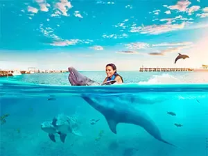 Dolphin experience in Isla Mujeres and the Riviera Maya
