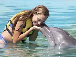 Swimming with Dolphins in Cancun