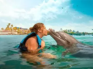 Encuentro con Delfines
