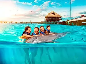 Familia nadando con delfines