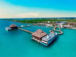 Entradas para nadar con delfines Cancún y Riviera Maya