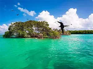 Manglares de Isla Holboxa
