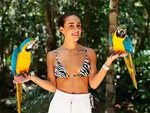 Loros exóticos en Cancún