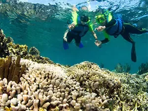 Activities to do in Cancun