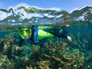 Best tours in Cancun