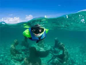 Paradise Snorkel