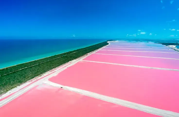 LAS COLORADAS (WEDNESDAY AND FRIDAY)