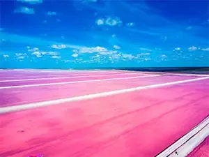 Tour Río Lagartos y las Coloradas
