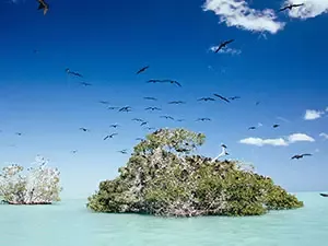 PASEO POR EL SIAN KAAN EN BOTE SAFARI DESDE CANCÚN