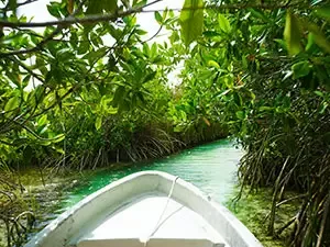 PASEO POR EL SIAN KAAN EN BOTE SAFARI DESDE CANCÚN