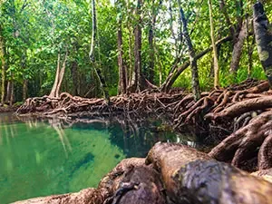 PASEO POR EL SIAN KAAN EN BOTE SAFARI DESDE CANCÚN