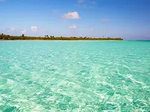 PASEO POR EL SIAN KAAN EN BOTE SAFARI DESDE CANCÚN