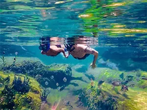 Snorkel en cenote en Cancún