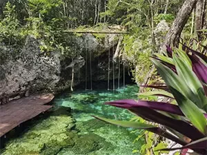 Cenote cristalino en Tulum