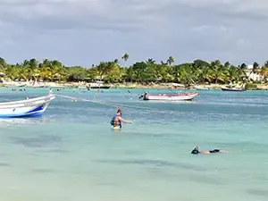 Reservations for affordable turtle swimming