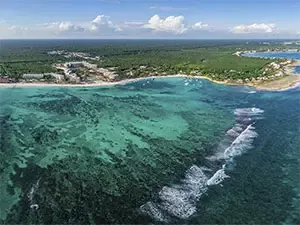 Tours for swimming with turtles in the Riviera Maya