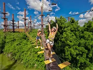 Xavage Ziplines
