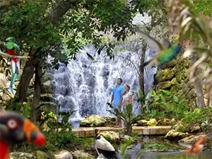Promociones para Xcaret en Cancún México