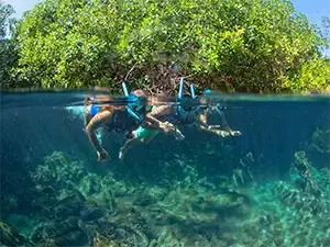 Snorkeling at Xel-Ha Park
