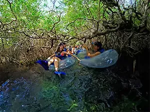 Tickets to Xel-Ha Park from the Riviera Maya