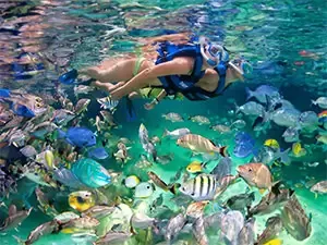 Snorkeling at the Xel-Há park reef