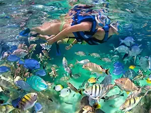 Snorkeling in Xel-Ha from Tulum