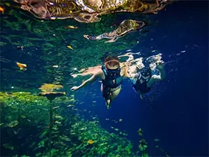 Snorkel en cenote desde el tour xenotes