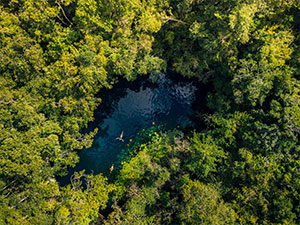 Disfrutarás de cenotes exclusivos en Xenotes desde tulum