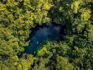 Cenotes en la Riviera Maya